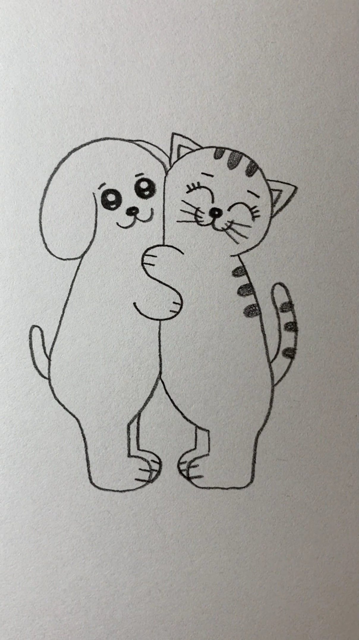 友谊万岁≧▽≦