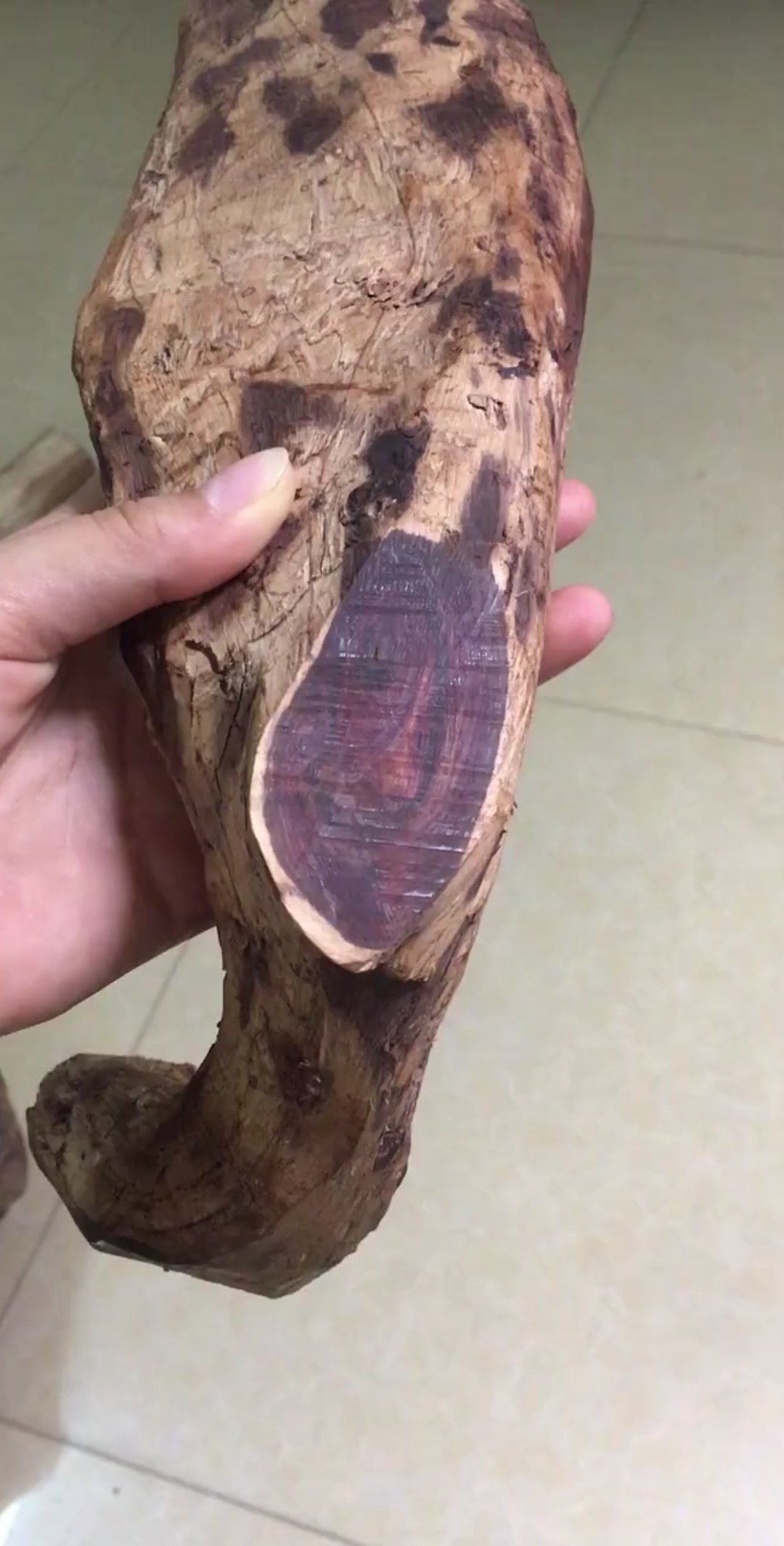 寻找最牛手艺人#海南黄花梨野生老料