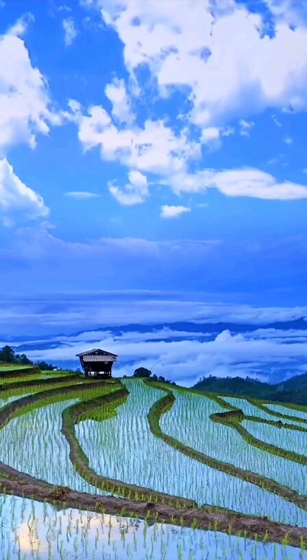 人生,需要一些时候静下来,看美丽风景,观云卷云舒,平淡真好!