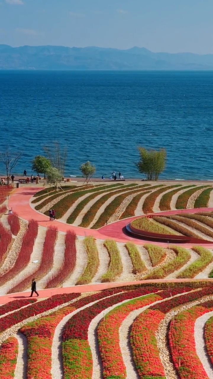 火爆朋友圈的抚仙湖新竣网红打卡点,再发一弹,喜欢么