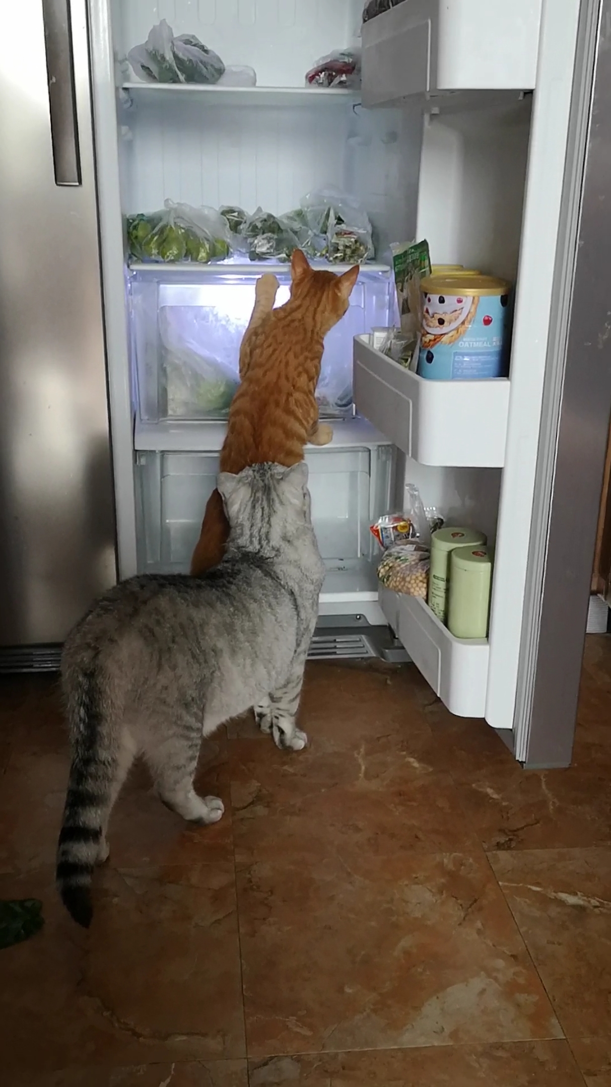 钢蛋: 看仔细点～ 铁蛋: 哥,里边啥好吃的都没有啊