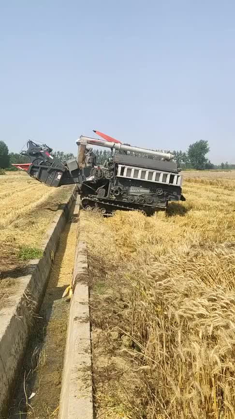 跨区收割麦子,看收割机师傅再选他的技术,简直是翻车现场!
