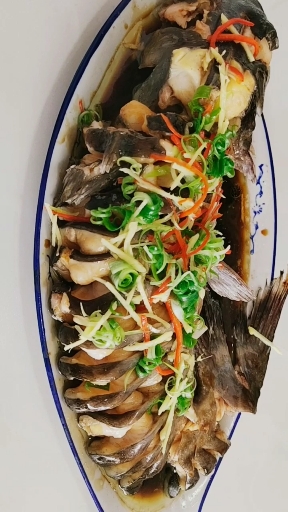 自制美食#清蒸清江鱼的做法,简单营养又好吃!自己在家就能做!-度小视