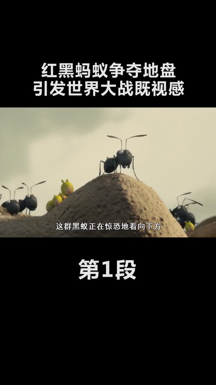 精彩影视#蚂蚁之间的战争,有没有世界大战的既视感