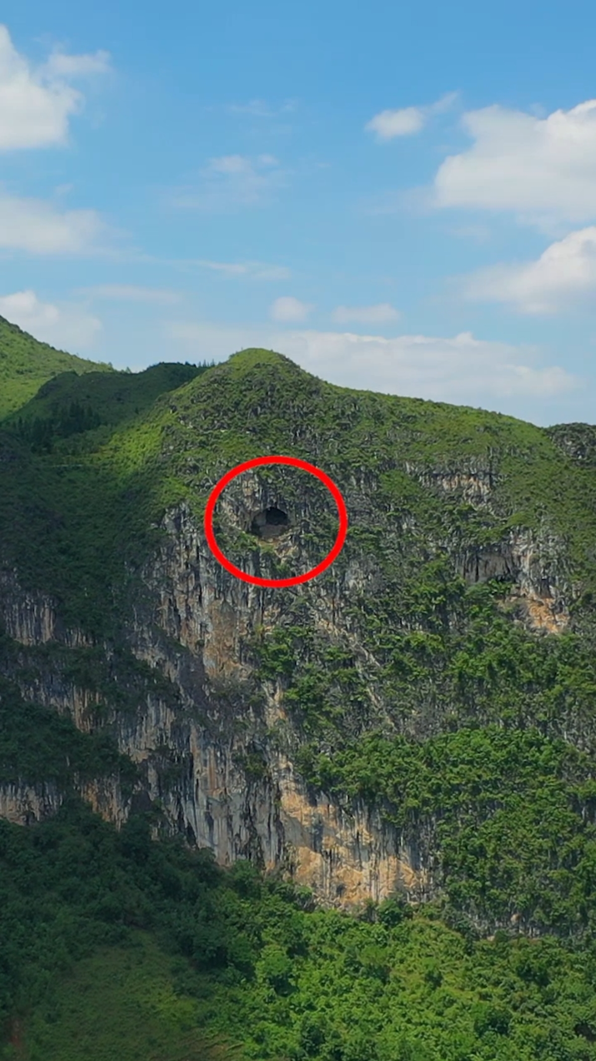 贵州大山悬崖上的一个山洞,只有鸟才飞得上去的地方,洞口居然有围墙!