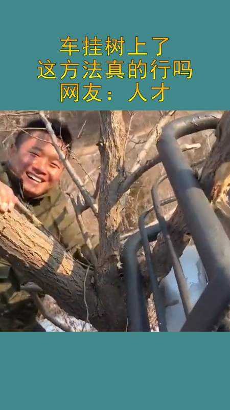 我要上热门#这是发生了啥,车挂树上了吗,真是个人才