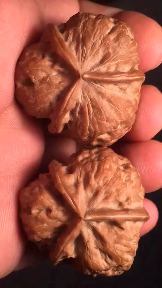 文玩核桃#三棱铁蛤蟆