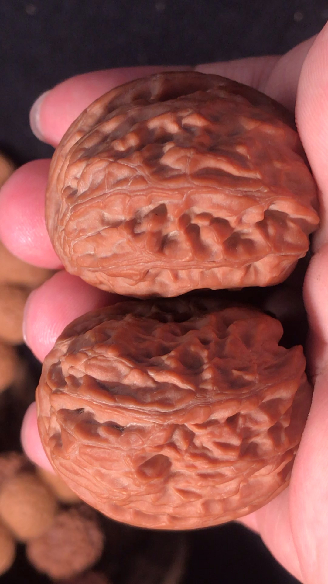 文玩核桃,一果同胞的野狼