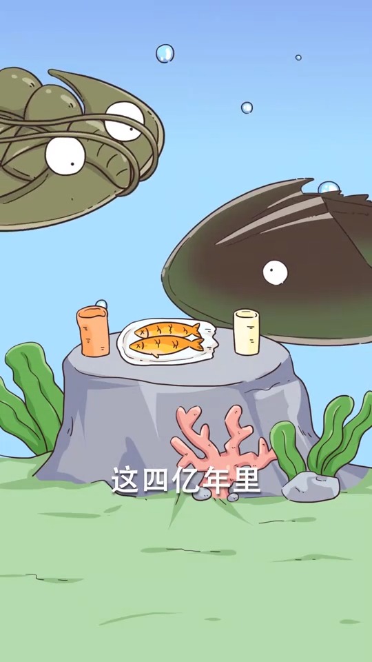 鲎 要怎么读?熬了四亿年却遇到了人类……-度小视