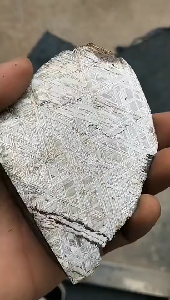 我家宠物成精了#铁陨石精品,经过酸洗.