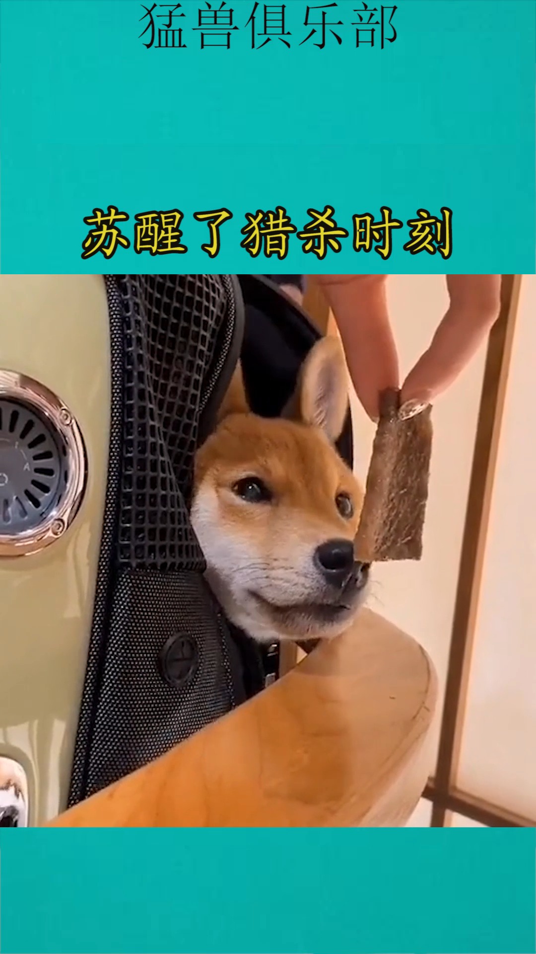 我要上热门#苏醒了猎杀时刻