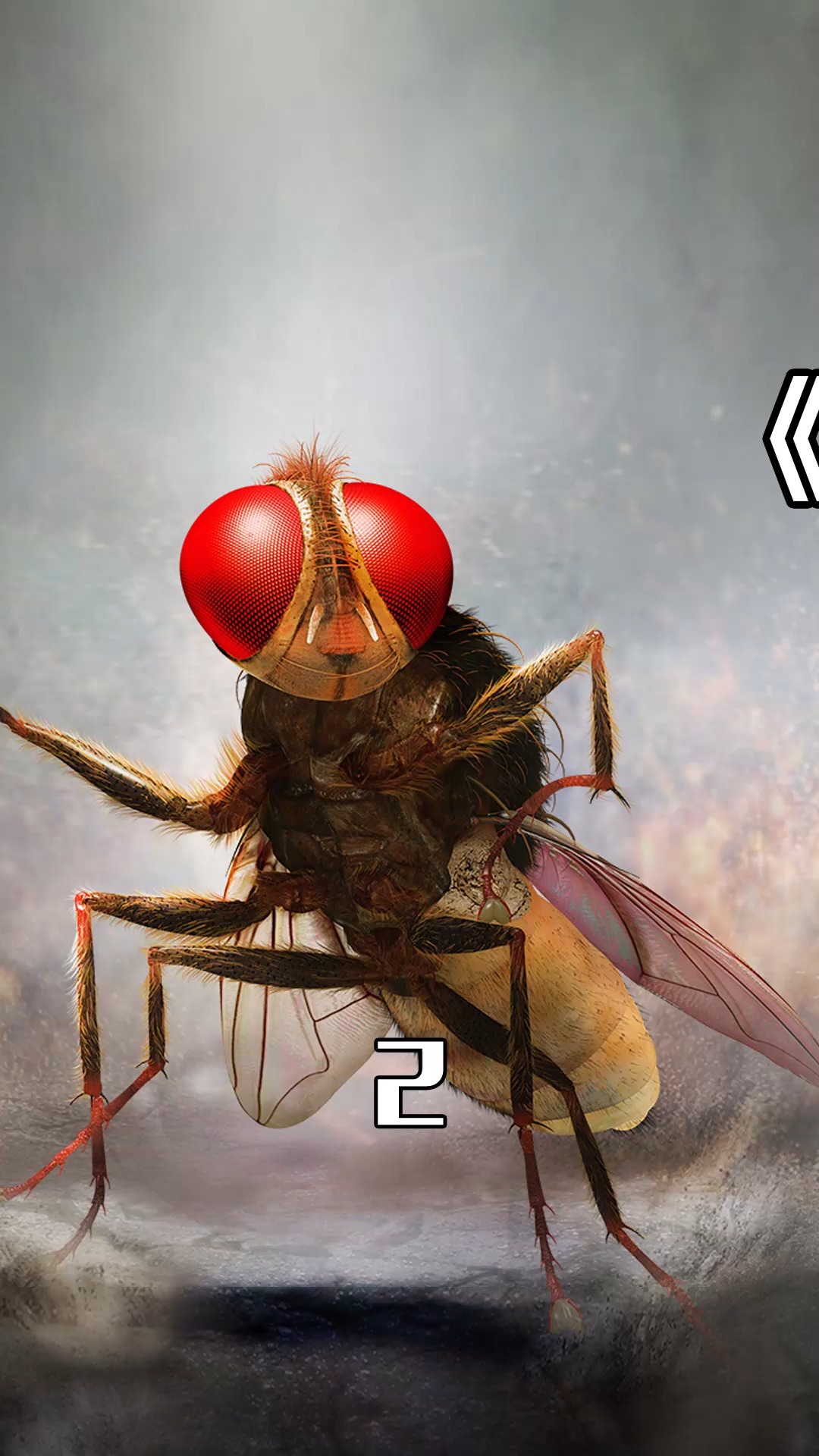 精彩影视#《功夫小蝇》(2/3):小伙被害,转世变成苍蝇复仇