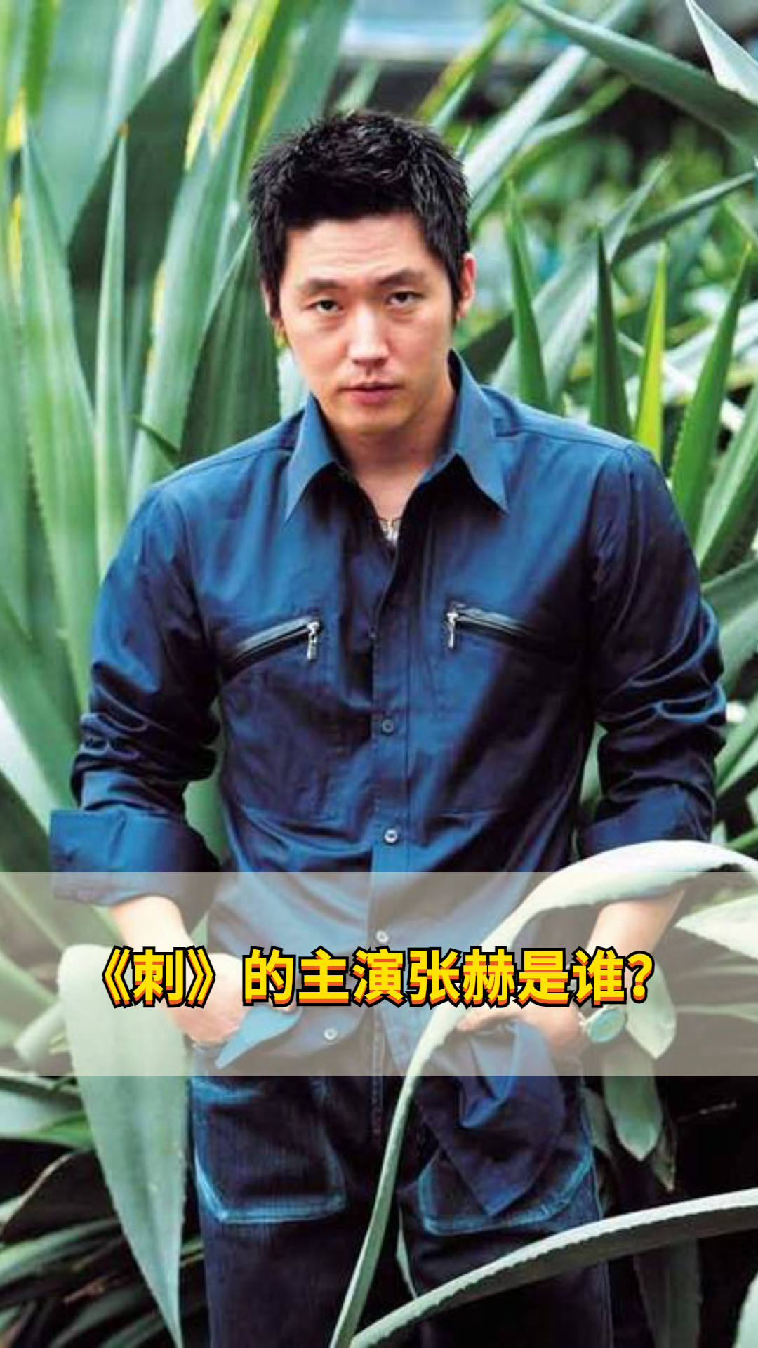 《刺》的主演张赫是谁