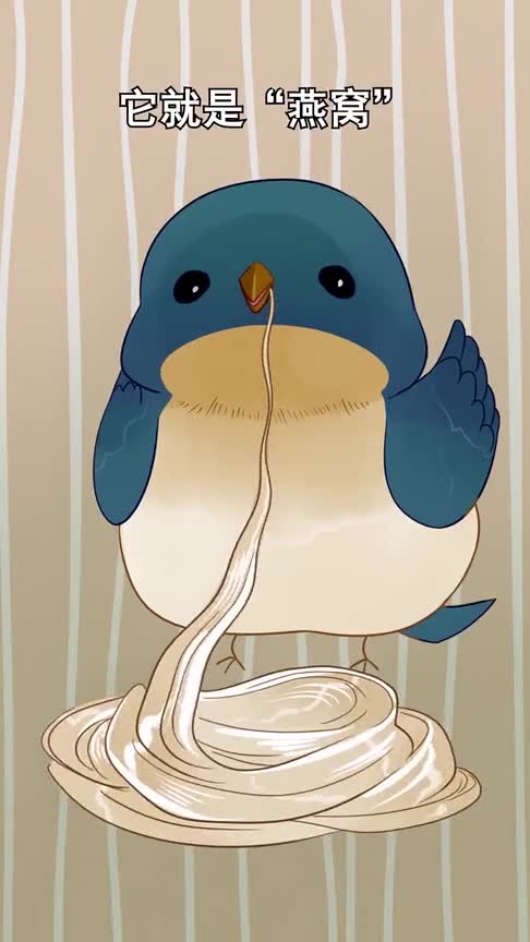 比黄金还贵的口水,竟然就是燕窝,原来我这么多年来吃的都是口水啊!