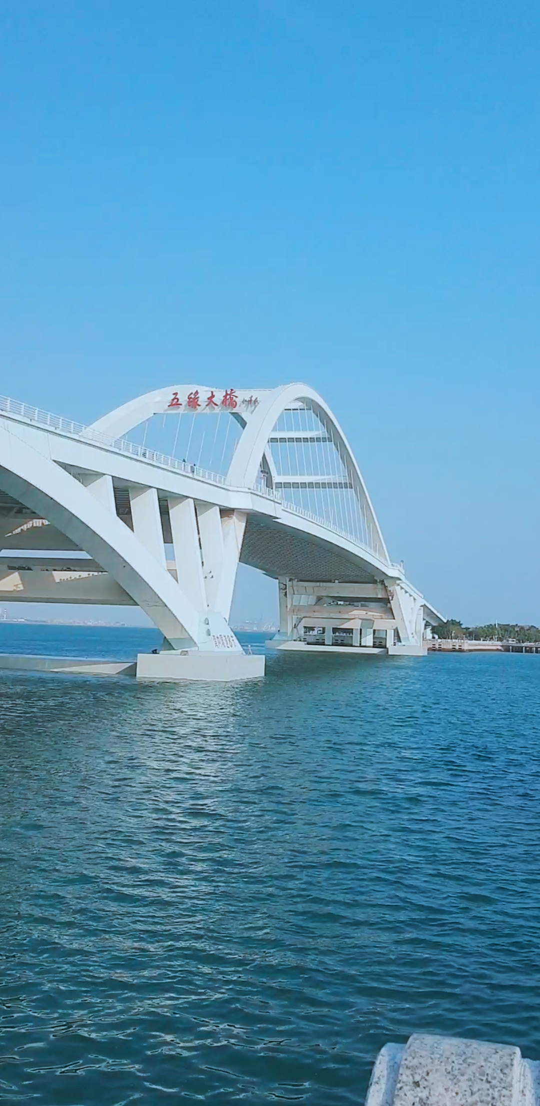 厦门五缘湾大桥,风光独好
