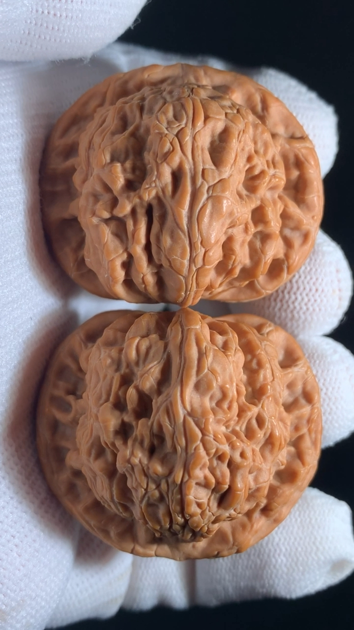 文玩核桃#玄武狮子头,高端小众.