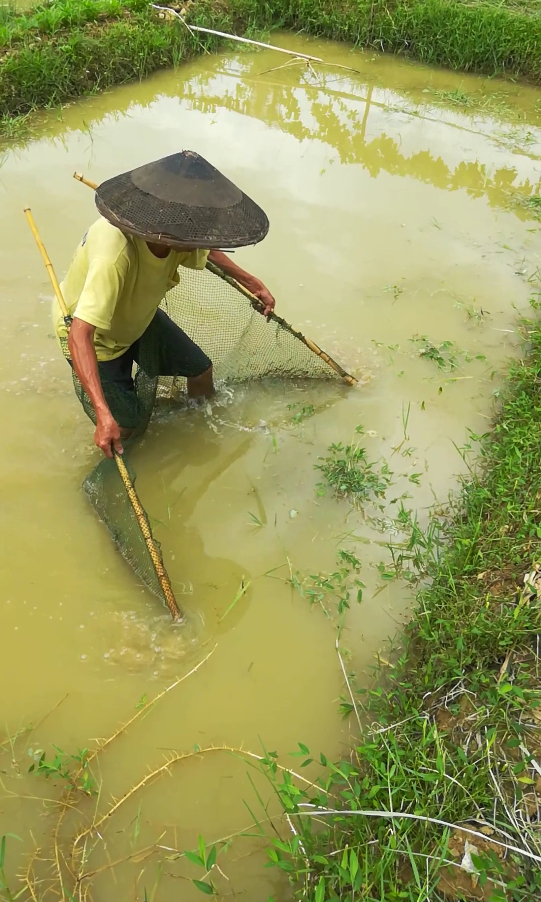 户外捞鱼#浑水捞鱼,儿时的回忆!