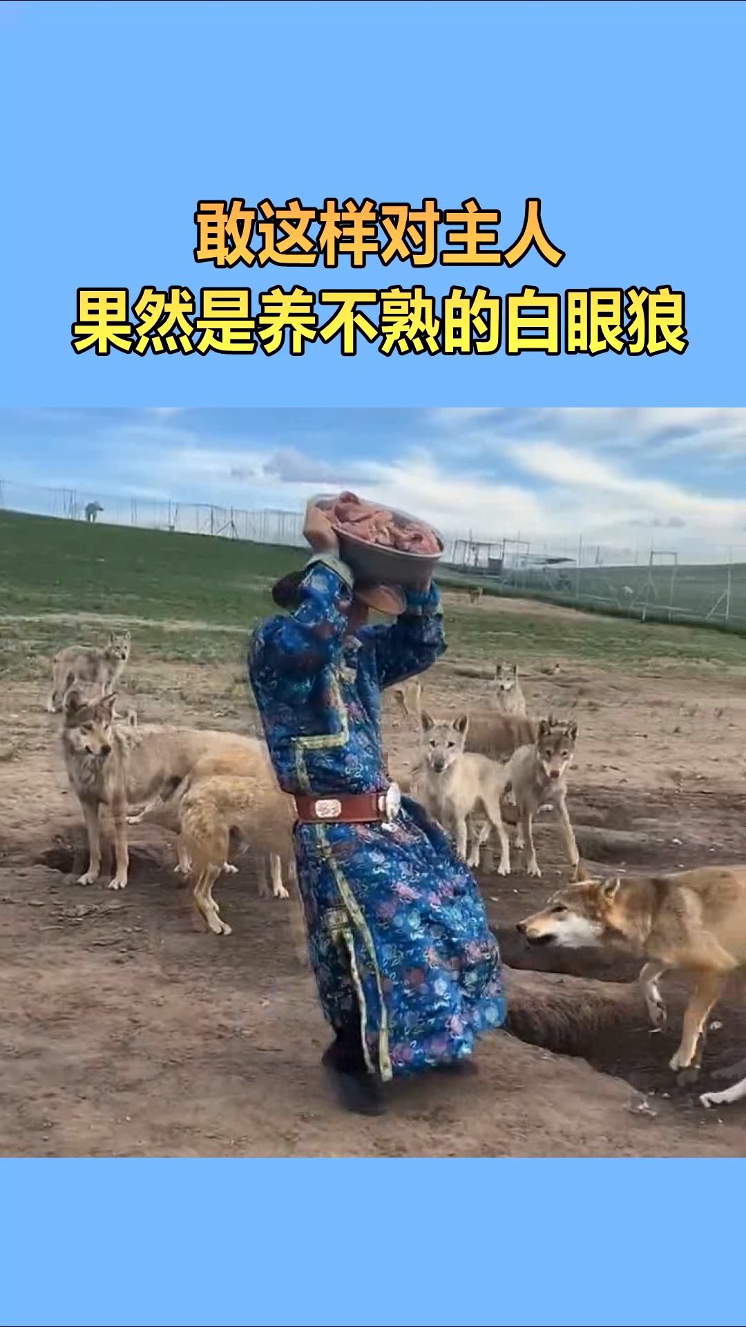 我要上热门#敢这样对主人,果然是养不熟的白眼狼