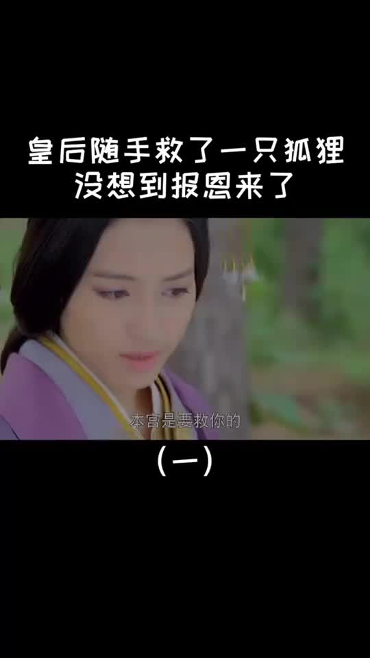 皇后随手救了一只白狐,没想到报恩来了-度小视