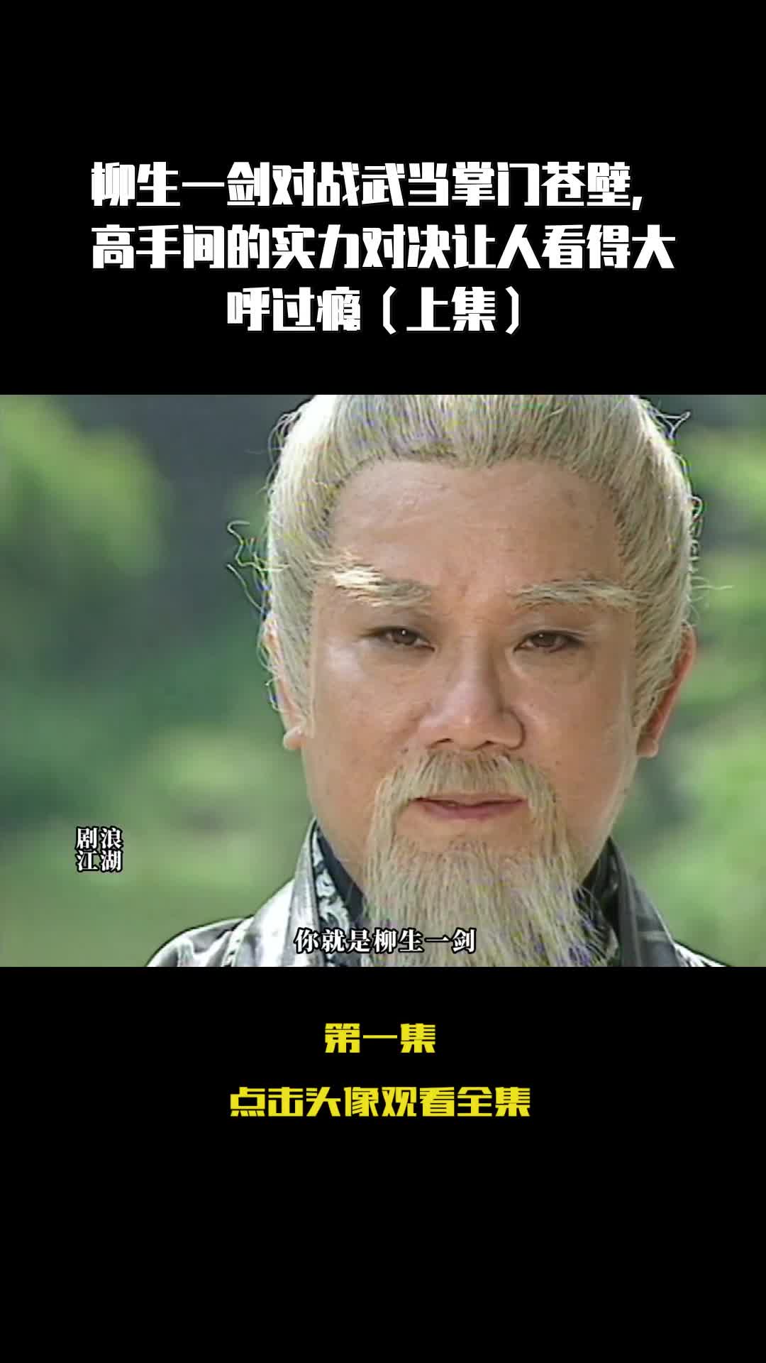 柳生一剑对战武当掌门苍壁高手间的实力对决让人看得大呼过瘾上集