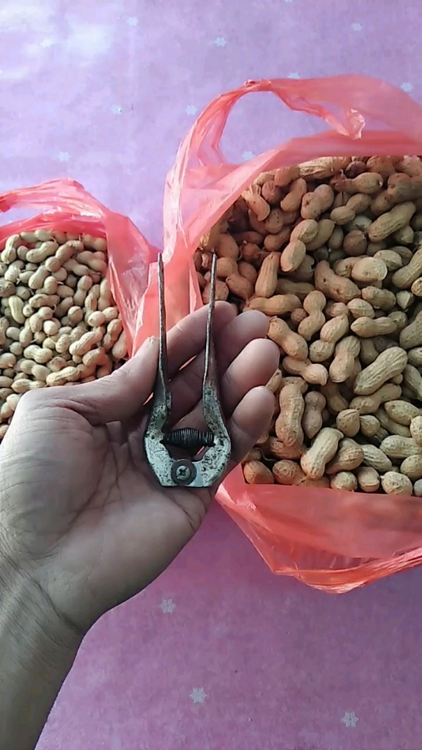 做个剥花生小夹子