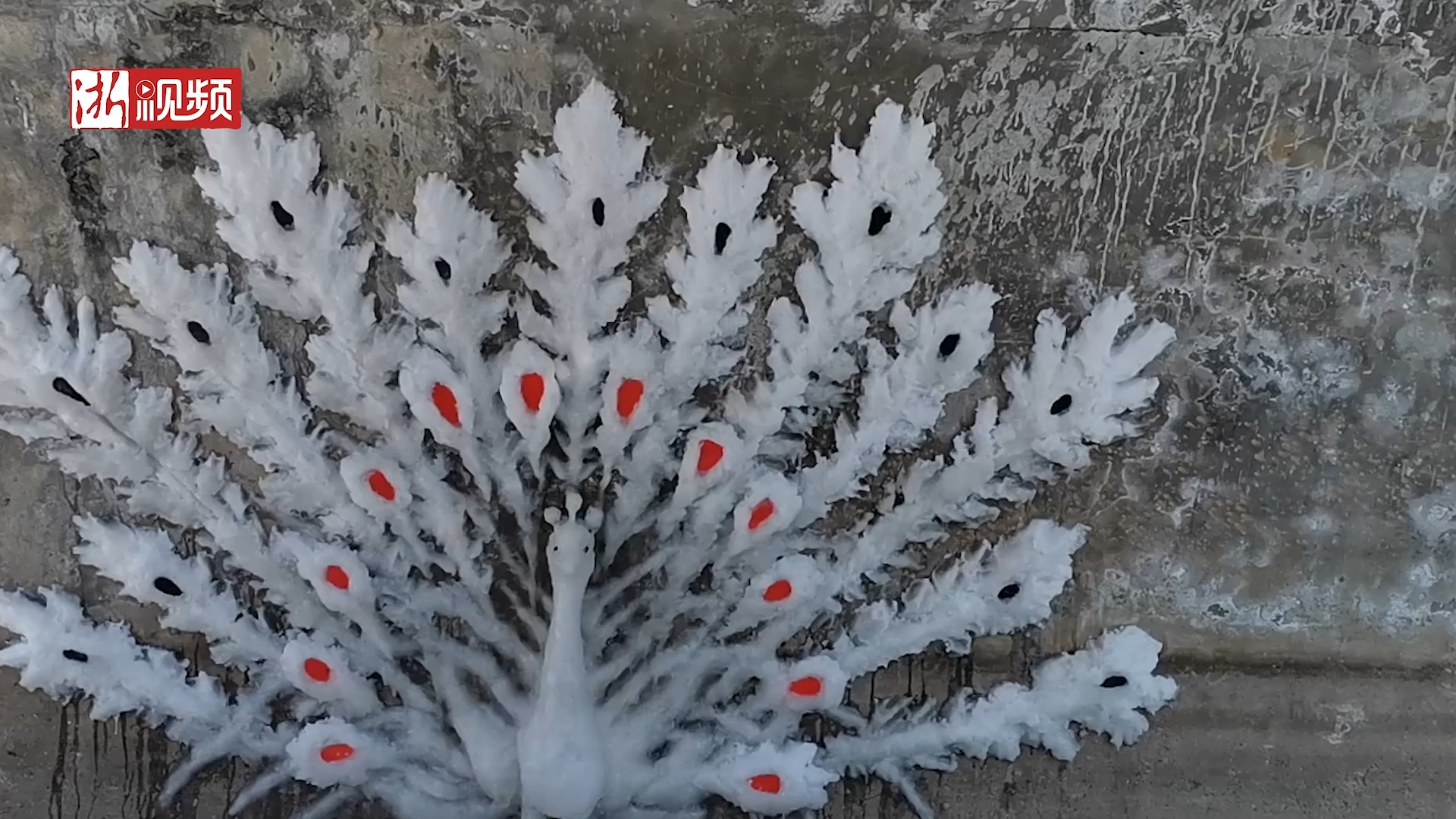 冰天雪地的东北#吉林老人两天半制作7平米雪塑浮雕孔雀开屏迎新年