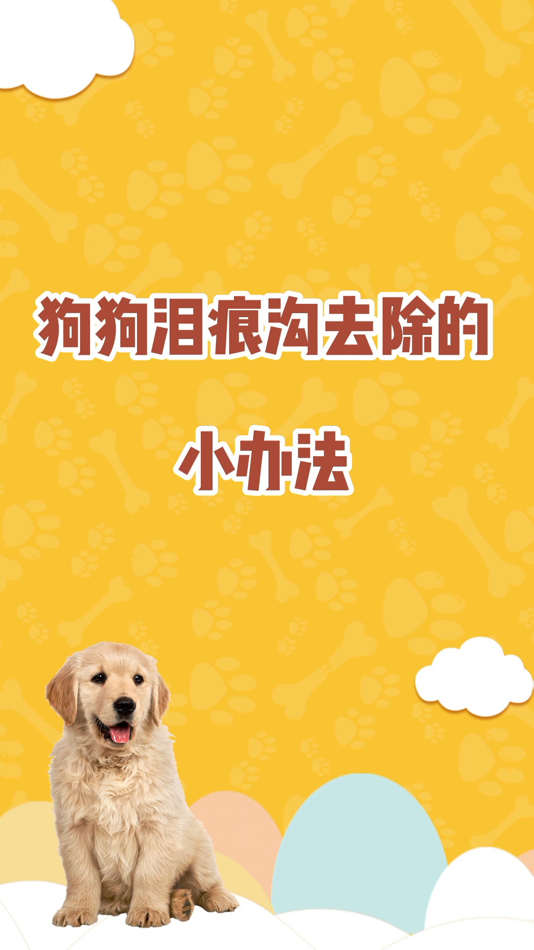 狗狗泪痕沟去除的小办法