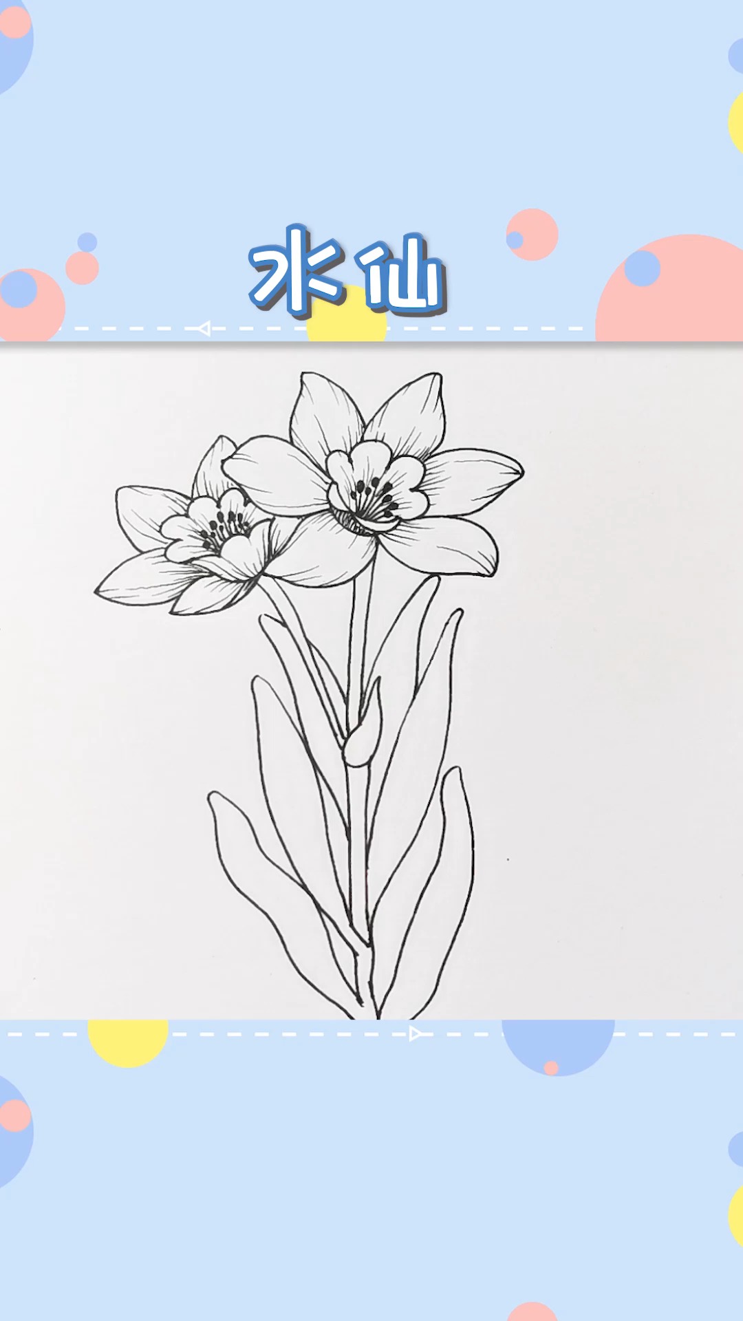水仙花的画法简笔画图片