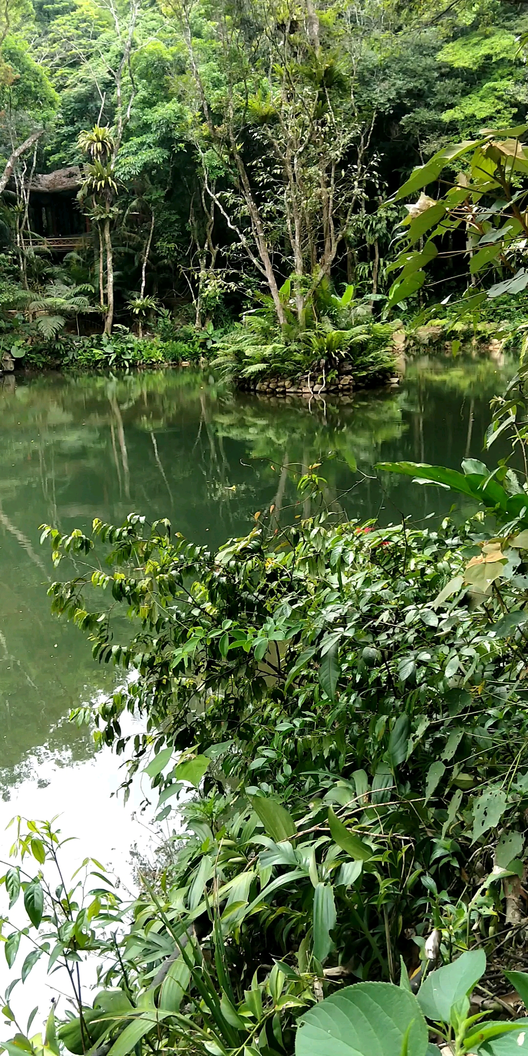 百花岭景色之四:天池