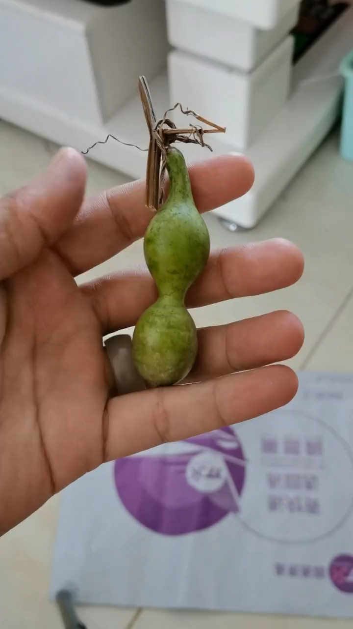 摘的青葫芦怎么处理