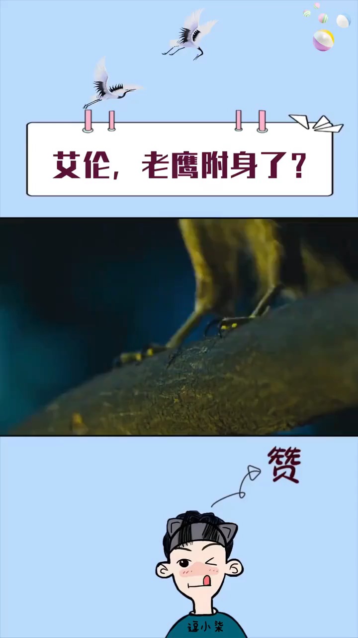 搞笑段子剧#艾伦比赛场上熬鹰实战