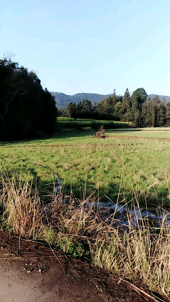 农村空气就是好