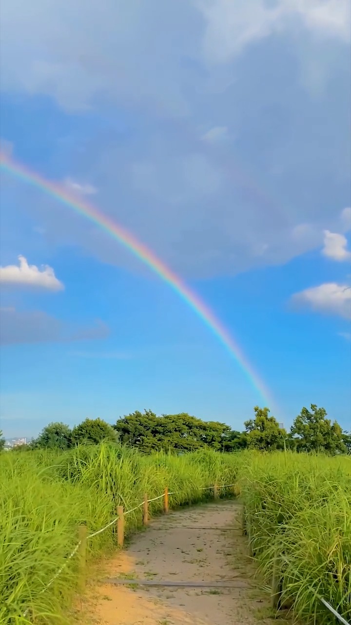 盛夏的雨后出现了美好的彩虹,走在乡间的小路上是多么的清新,时光依旧