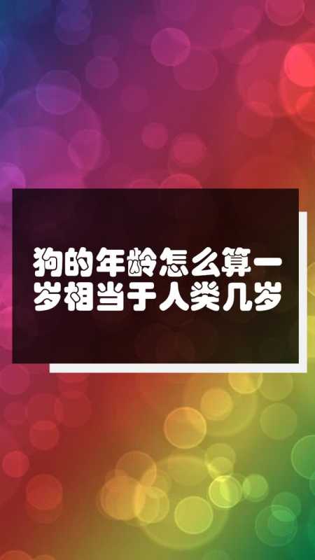 狗的年齡怎麼算一歲相當於人類幾歲