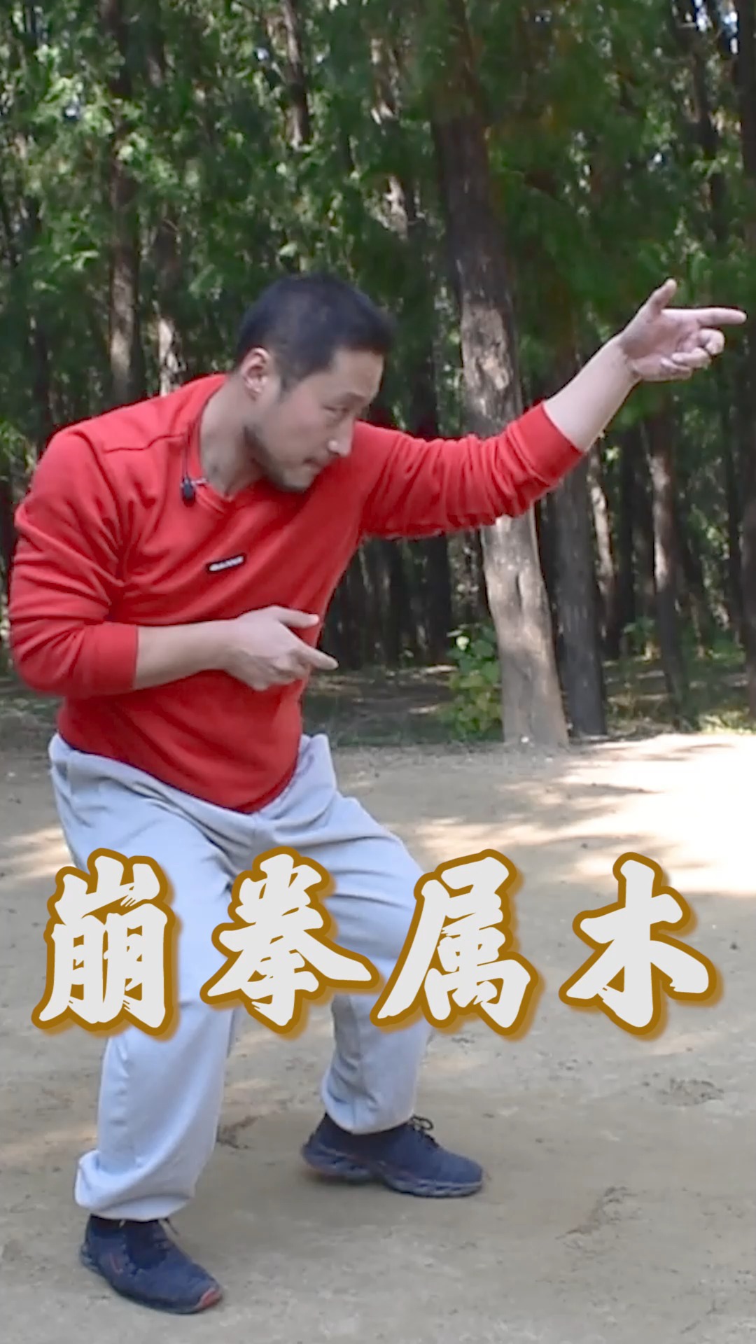 形意拳郭云深的蛇形崩拳庞老师露真东西崩拳属木的劲路变化