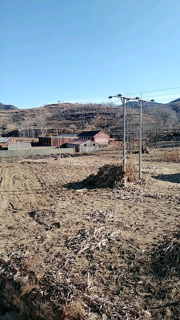 这就是现在农村的样子