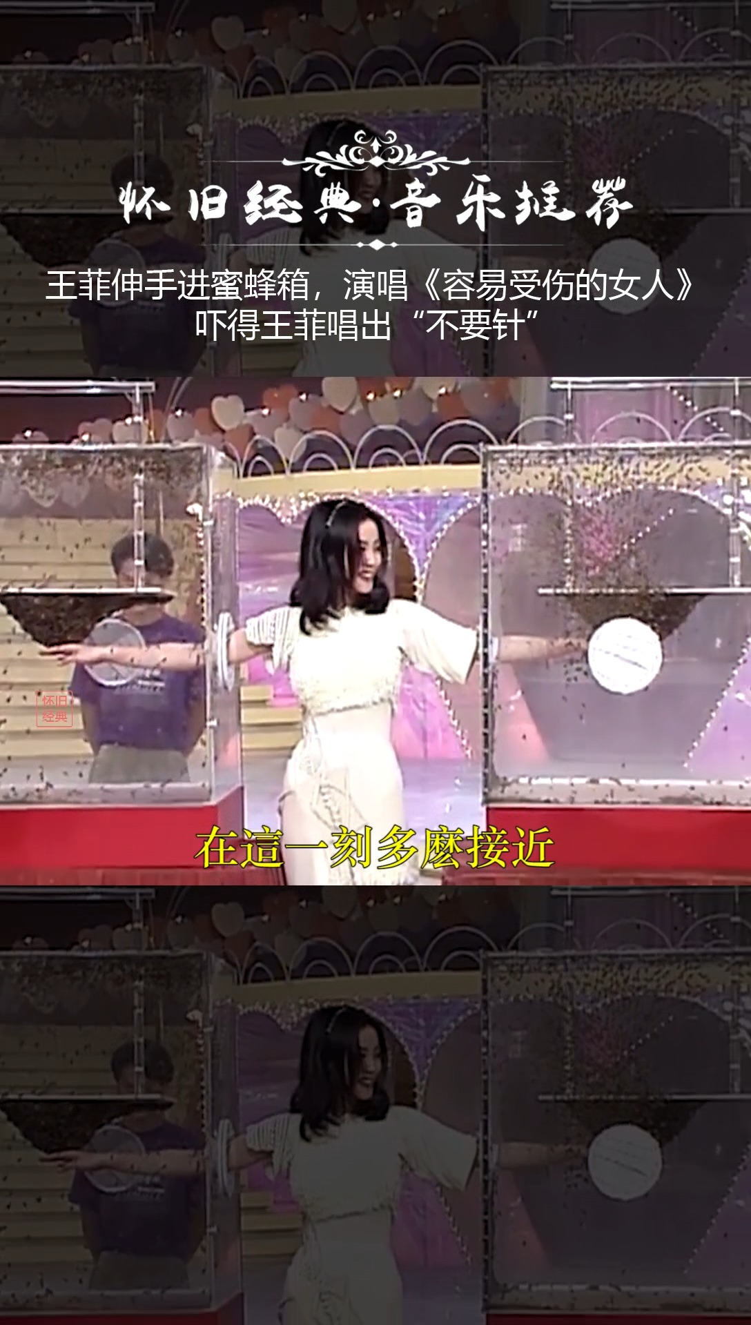 王菲#天后唱功有多好,伸手到蜜蜂箱演唱《容易受伤的女人》,气息恫换