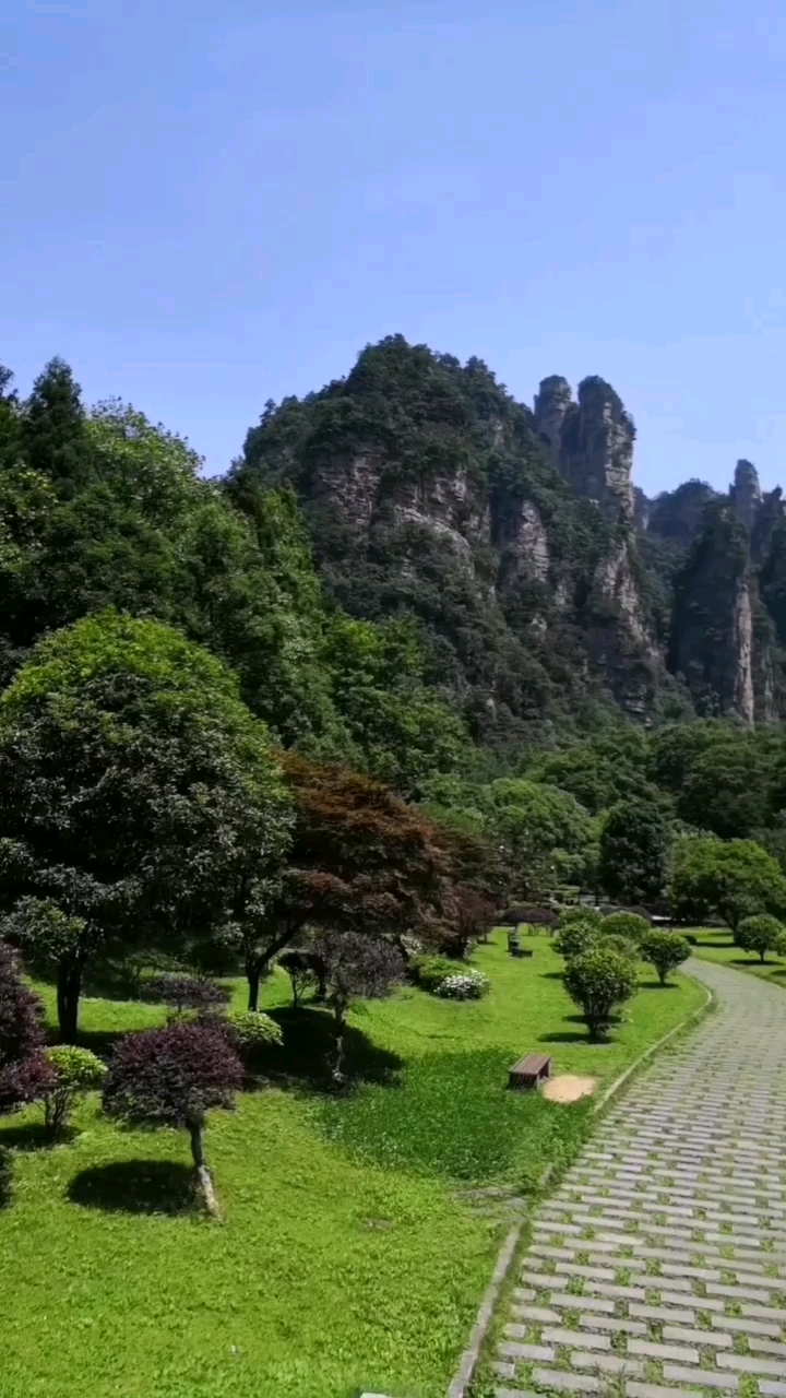 大氧吧广场图片