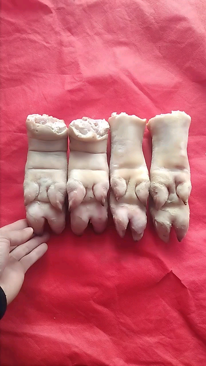 如何分辨前蹄后蹄!