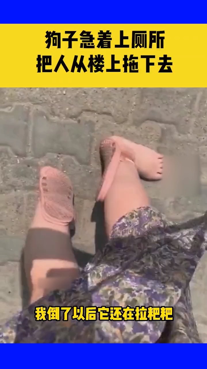 女子被憋急的狗拽倒在地拖鞋都滑到脚脖子了狗子却只顾着上厕所