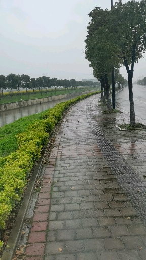 毛毛细雨的情景的图片图片