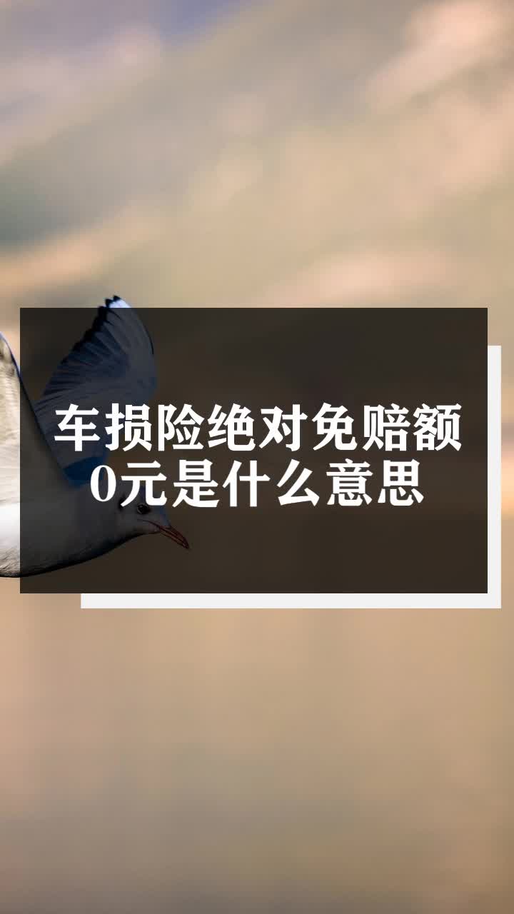车损险绝对免赔额0元是什么意思