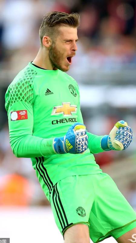 西班牙门将"德赫亚"了解一下!-度小视