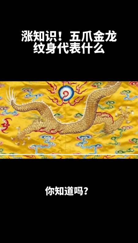 五爪金龙纹身代表什么?原来是这样