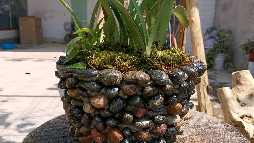 这是高手#自制鹅卵石花盆