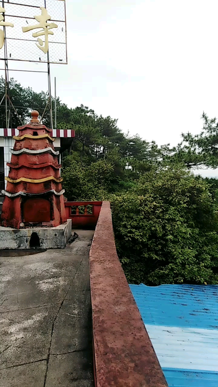 带上全民去旅行#森林公园百岁山天伯公山门鸟敢梅州市全景