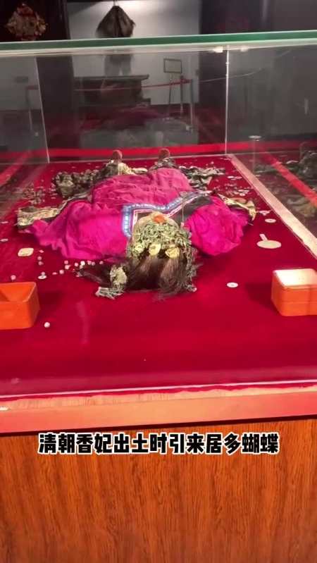 清朝香妃出土时引来居多蝴蝶