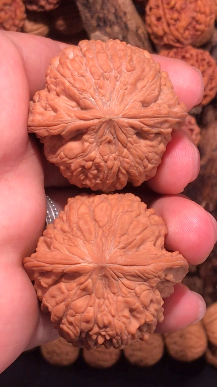 文玩核桃,和尚头,品相好