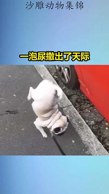 我要上热门#一泡尿撒出了天际