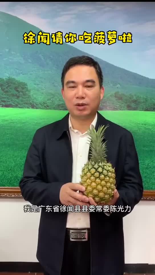 每3个中国菠萝就有1个来自徐闻#广东请全国人民吃